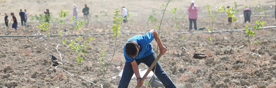 Razan Zwaiter plants two million trees to protect Palestine